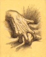 Human Hand 21 - Version 2